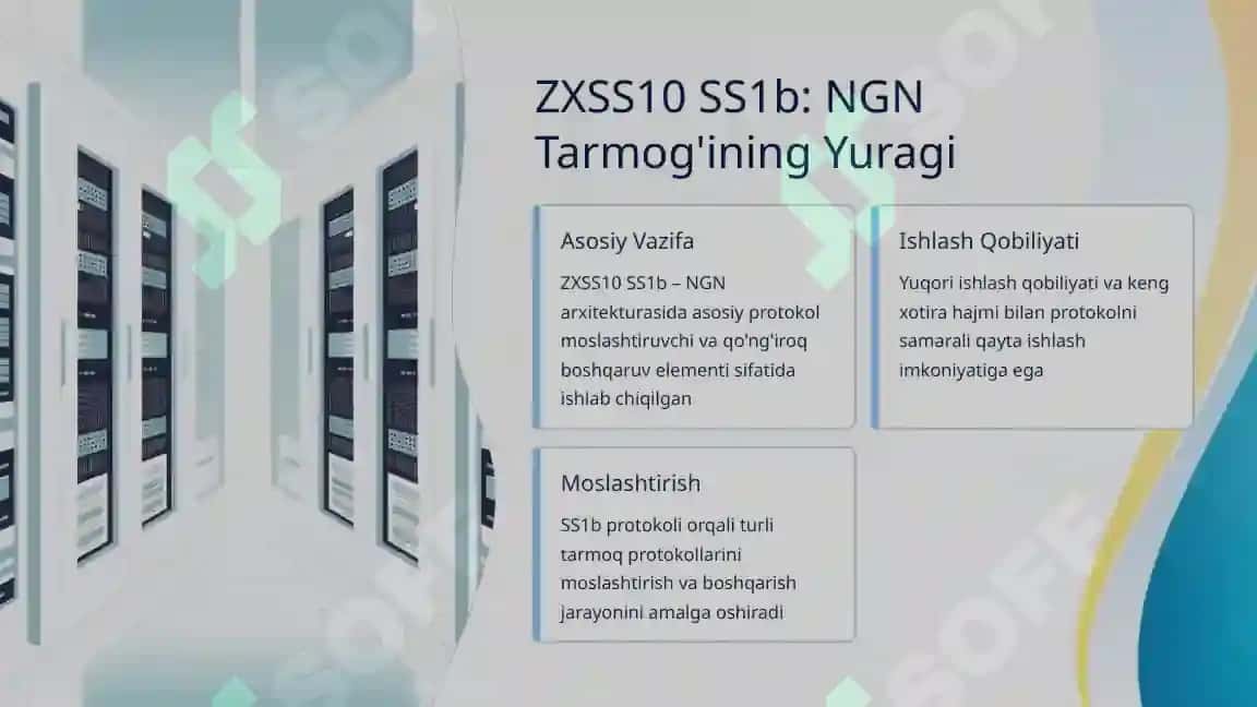 ZXSS10 SS1b O'quv Tarmoq Uskunalari va Media Shlyuzlari Turlari 3