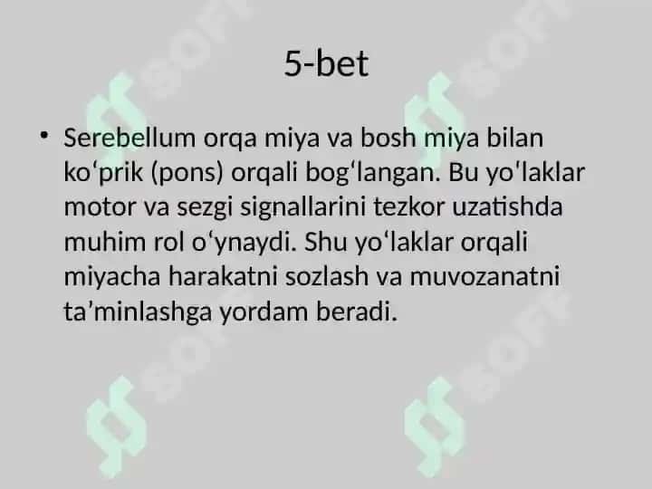 Serebellum va Miyaning Yadrolari / Anatomiya taqdimoti (O'zbek tilida) 6