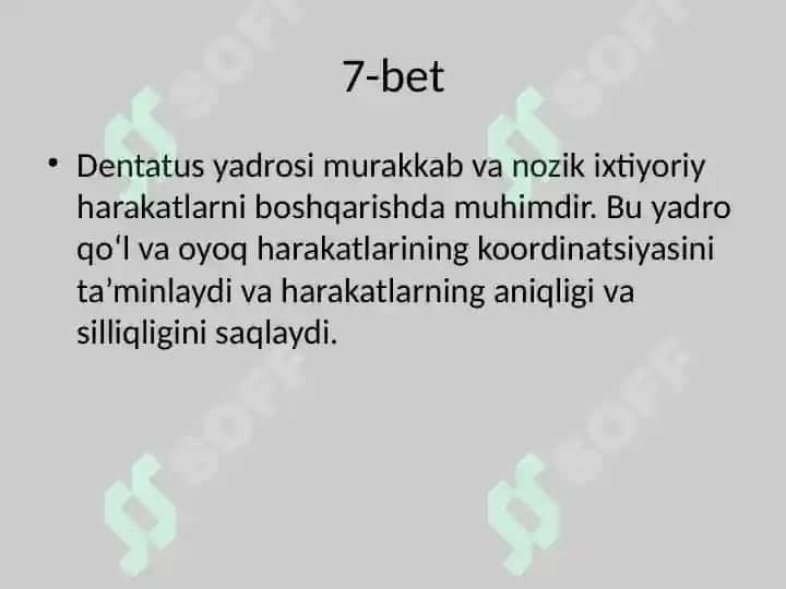 Serebellum va Miyaning Yadrolari / Anatomiya taqdimoti (O'zbek tilida) 8