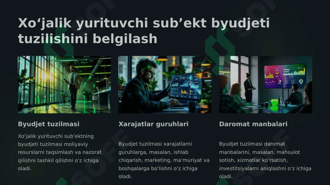 Xo‘jalik yurituvchi sub’ekt byudjeti mohiyati va uni shakllantirish 2 8