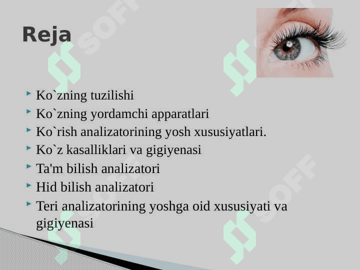 Sensor tizimining yoshga oid fiziologiyasi va gigiyenasi 2
