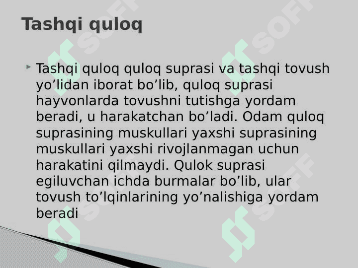 Analizatorlar va ichki sekretsiya bezlarining yosh xususiyatlari 6