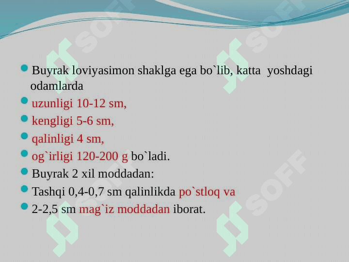 Ayiruv tizimining yosh xususiyatlari va gigiyenasi 5