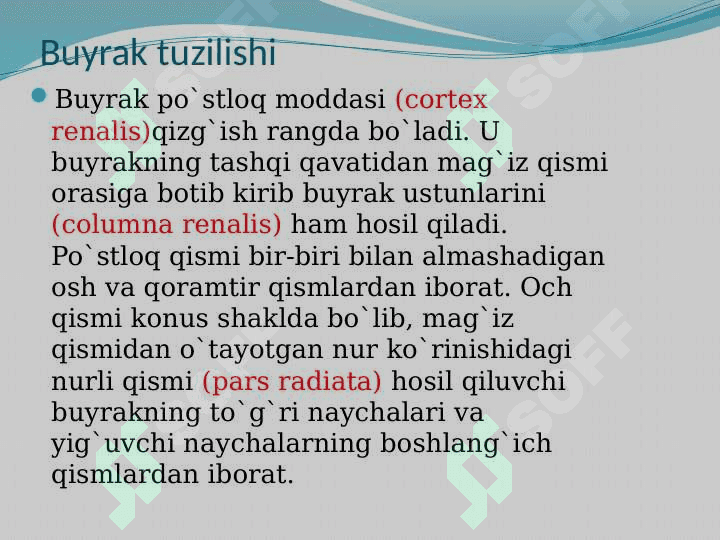Ayiruv tizimining yosh xususiyatlari va gigiyenasi 6