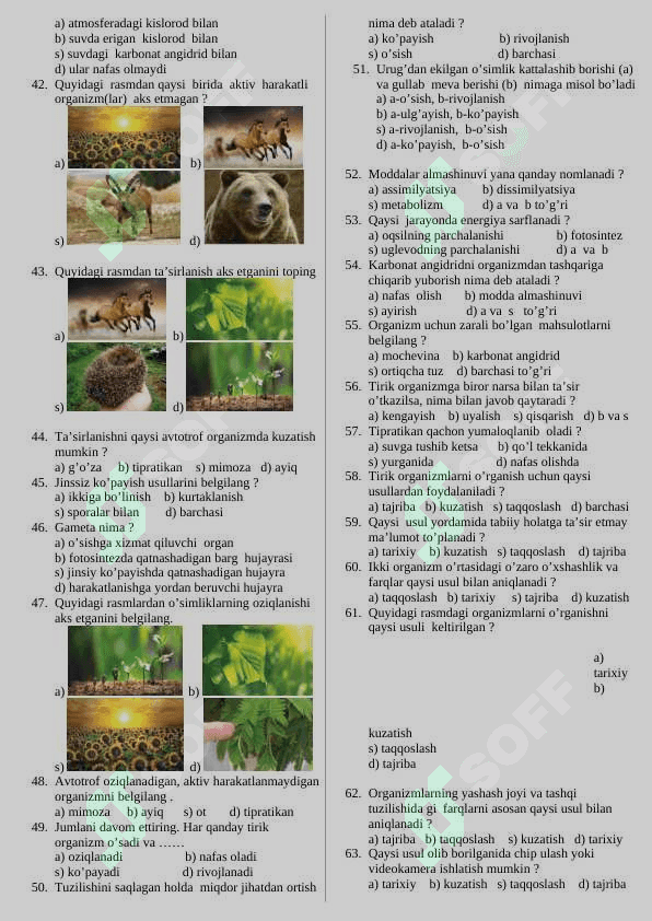 Biologiya fanidan mazulashtirilgan ttestlar 5 sinf 5
