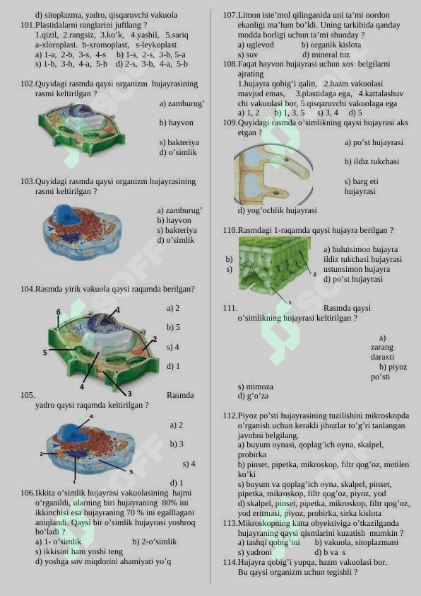 Biologiya fanidan mazulashtirilgan ttestlar 5 sinf 8
