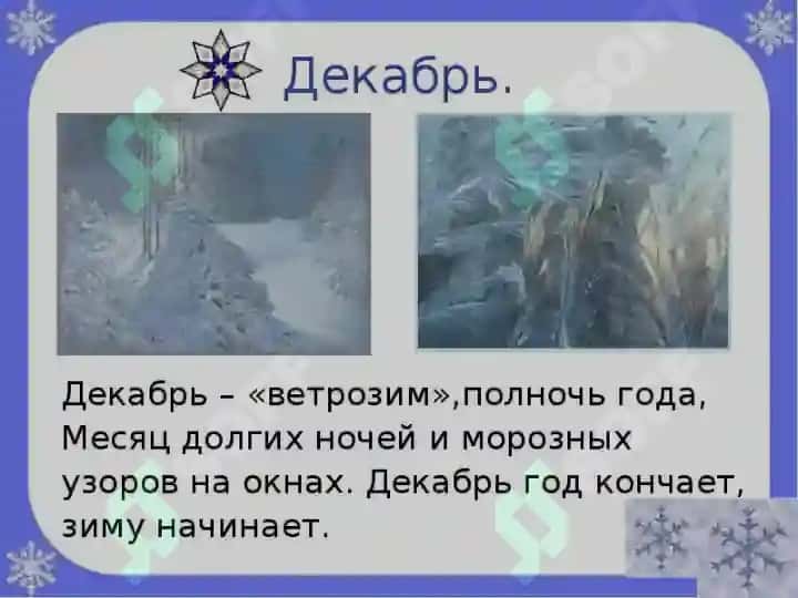 ВРЕМЕНА ГОДА 5