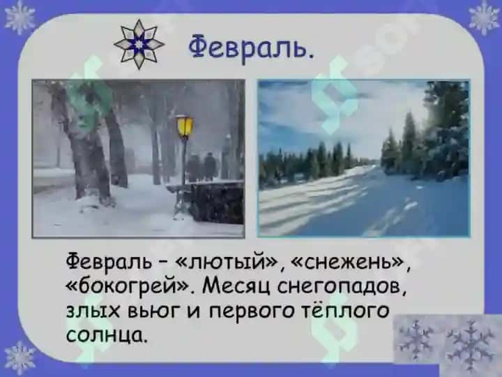 ВРЕМЕНА ГОДА 7
