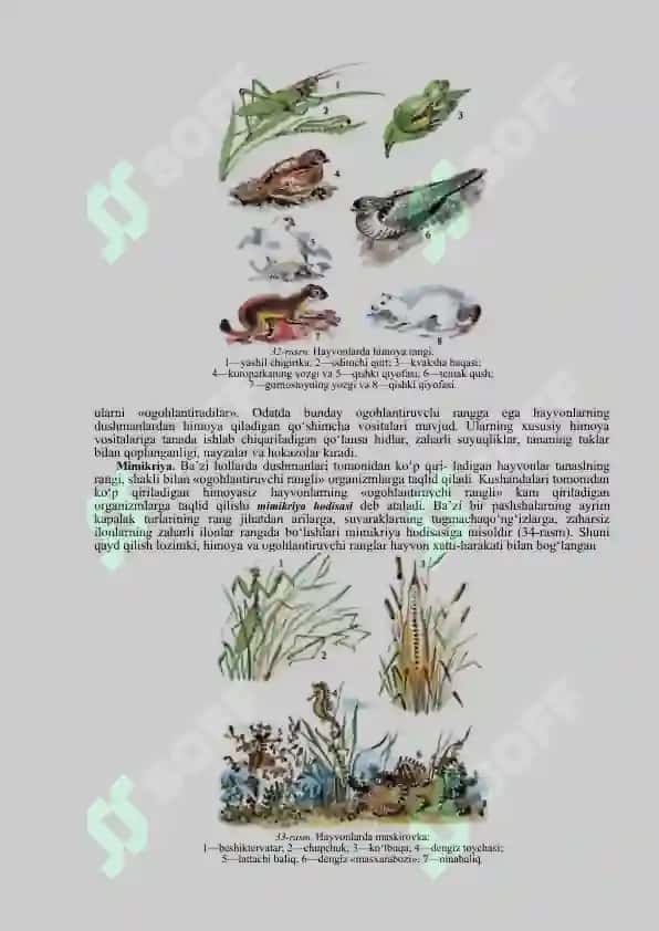 Moslanishning bosqichlari 2