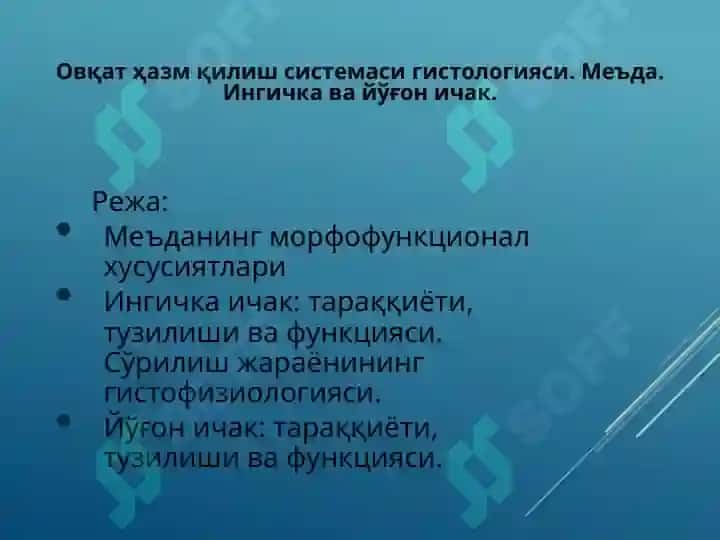 Хазм системаси гистологияси Овқат ҳазм қилиш системаси гистологияси. Меъда. Ингичка ва йўғон ичак. Hazm sistemasi gistologiyasi 2