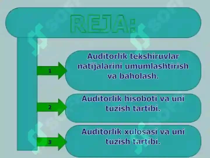 Auditorlik tekshiruvlar 2