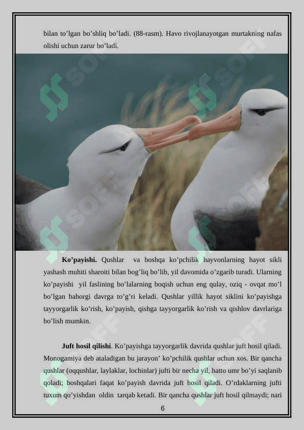 QUSHLARNING KO’PAYISHI VA RIVOJLANISH XUSUSIYATLARI 6