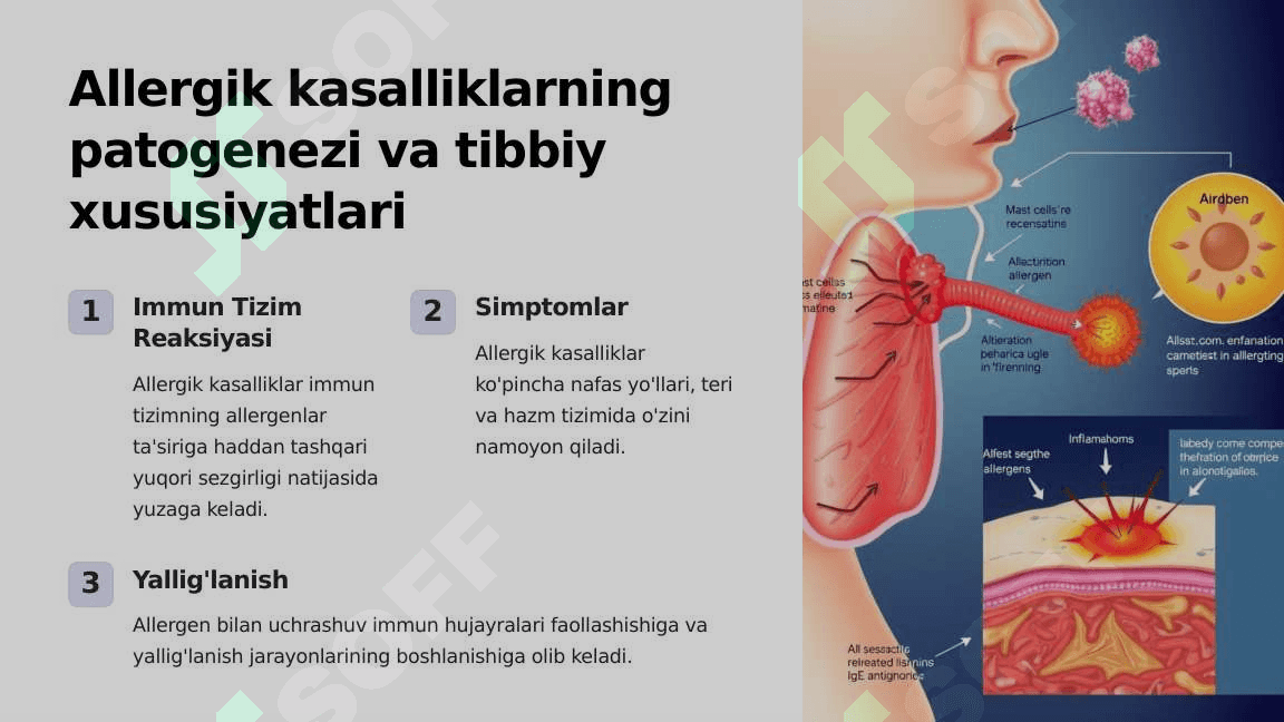 Allergik kasalliklarning farmakoterapiyasi 2