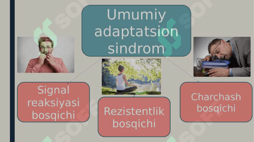 Umumiy adaptatsion sindrom 4