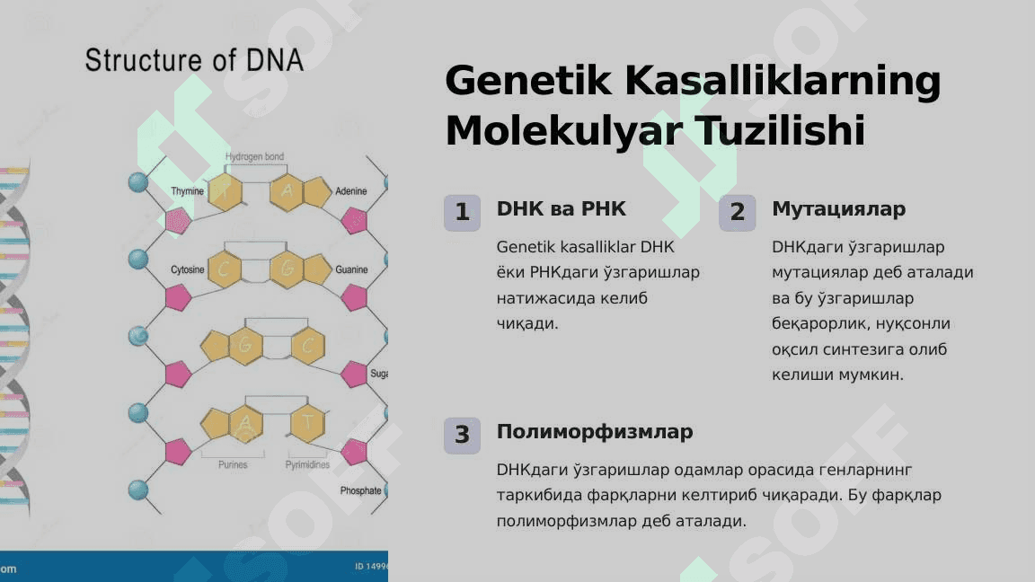 Genetik Kasalliklarning Molekulyar Diagnostik Asoslari 2