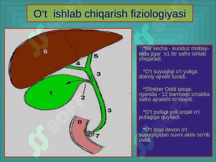 O‘t tosh kasalligi. Xoletsistitlar, diagnostikasi va davolash 6