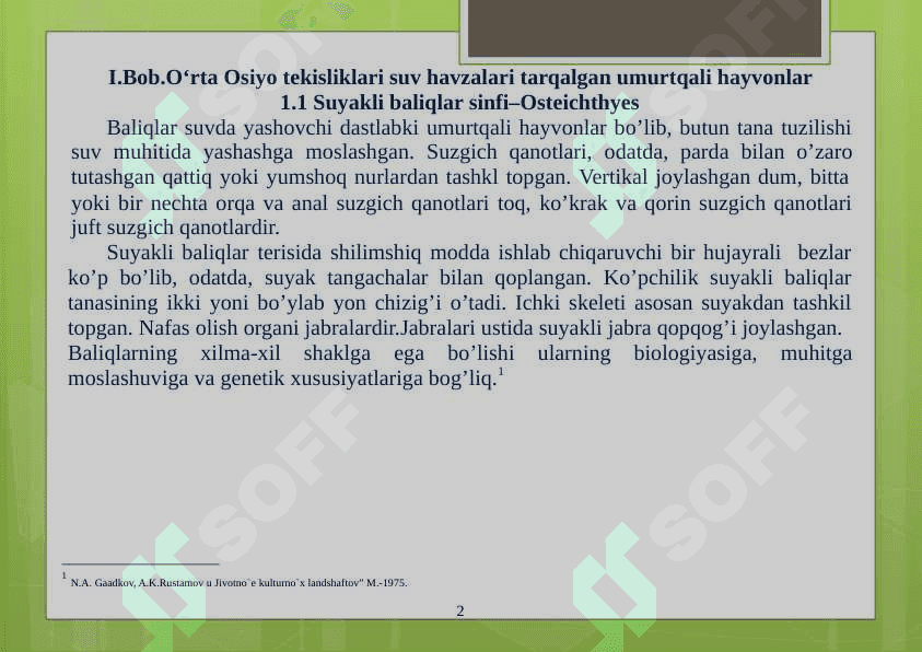 O‘RTA OSIYO TEKISLIKLARI SUV HAVZALARI VA TOG‘ XUDUDLARIDA TARQALGAN UMURTQALI HAYVONLAR 2