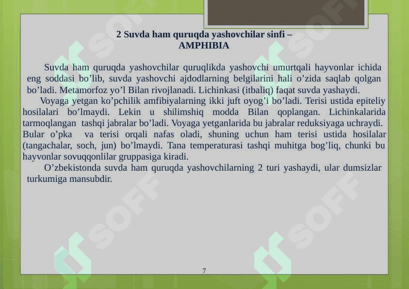O‘RTA OSIYO TEKISLIKLARI SUV HAVZALARI VA TOG‘ XUDUDLARIDA TARQALGAN UMURTQALI HAYVONLAR 7