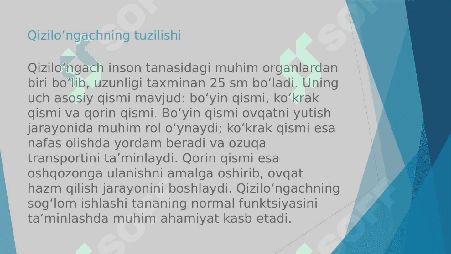 Qizilo`ngachning tug`ma va ortirilgan nuqsonlarida bajariladigan operatsiyalar 3