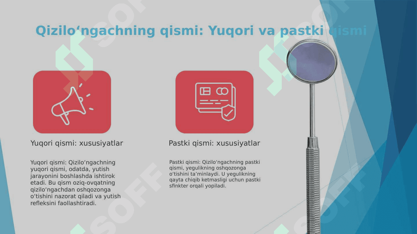 Qizilo`ngachning tug`ma va ortirilgan nuqsonlarida bajariladigan operatsiyalar 4