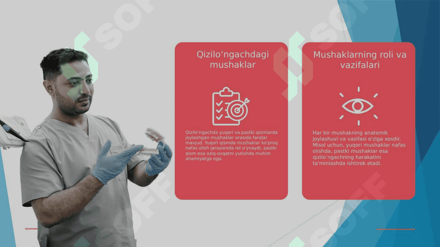 Qizilo`ngachning tug`ma va ortirilgan nuqsonlarida bajariladigan operatsiyalar 5