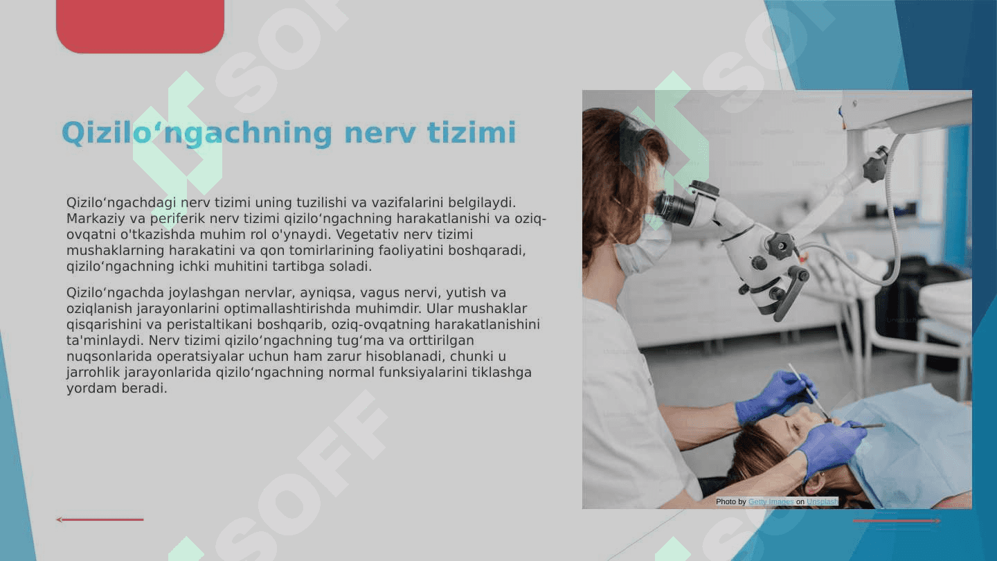 Qizilo`ngachning tug`ma va ortirilgan nuqsonlarida bajariladigan operatsiyalar 6