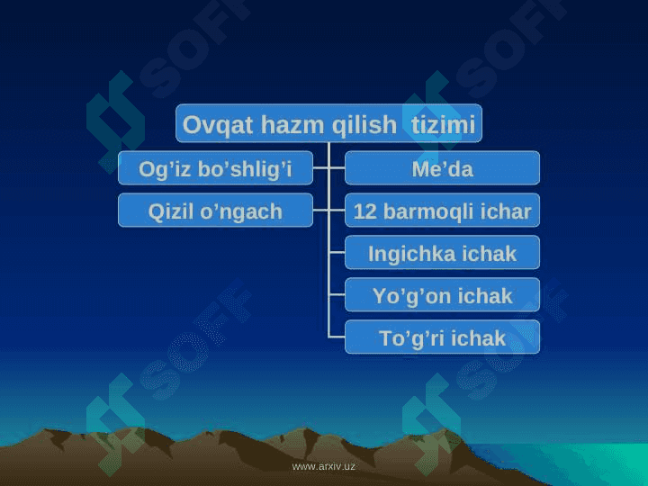 OVQAT HAZM QILISH A’ZOLARI SISTEMASI KASALLIKLARI 8