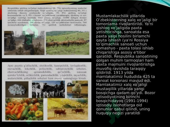 Qishloq xo'jaligi va sanoat sohasidagi o'zgarishlar 4