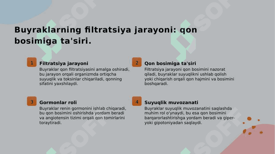 Arterial bosimning boshqariluvida buyraklarning roli. 5