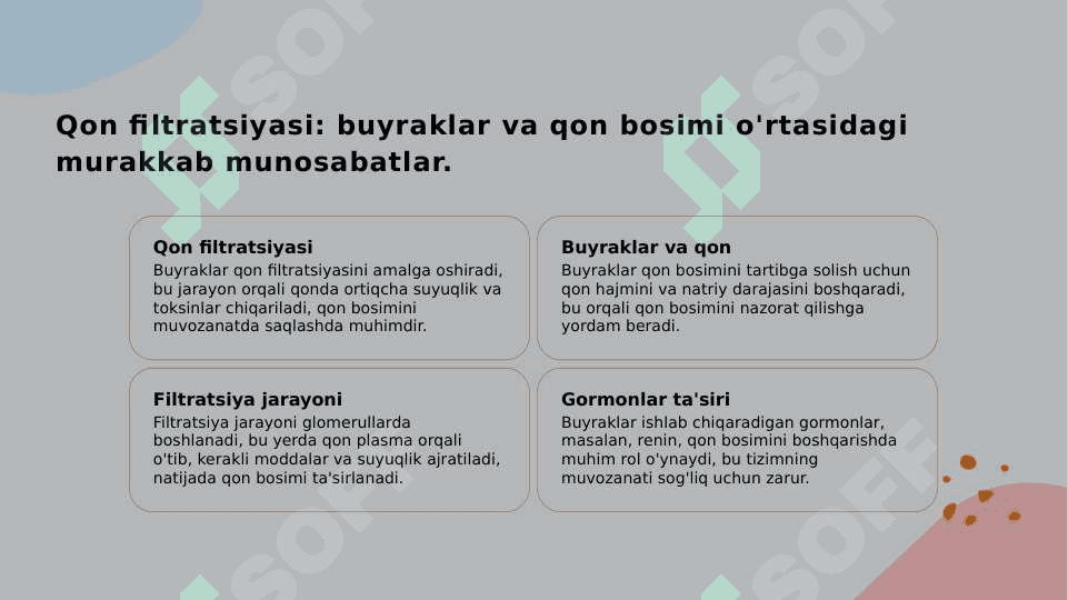 Arterial bosimning boshqariluvida buyraklarning roli. 8