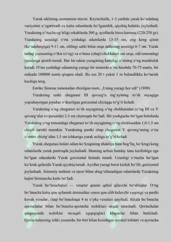 YURAK 3