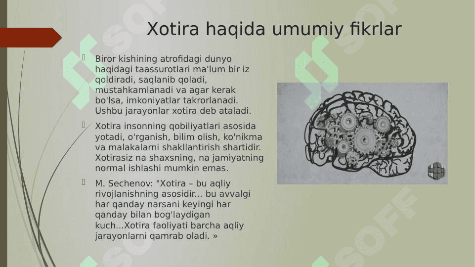 Diqqat va Xotira 4