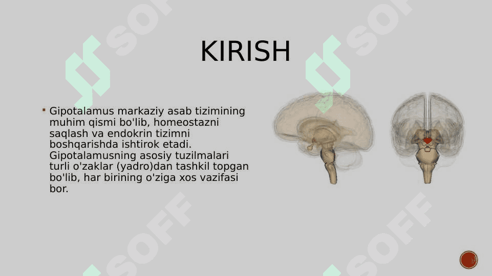 Gipotalamus o'zaklari va ularning klinik ahamiyati 2