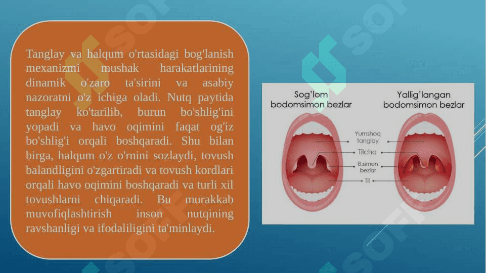 Normada va tug'ma tanglay yoriqliklarida tanglay-halqumbirikishi mexanizmi 4