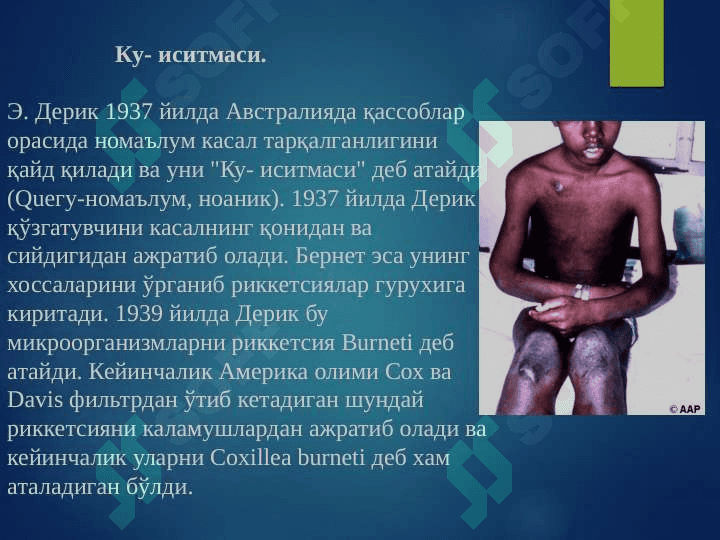 Ku
isitmasi 3