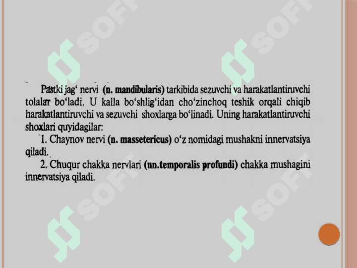 V juft bosh miya nervining III shoxi       
  funksional va klinik anatomiyasi 2