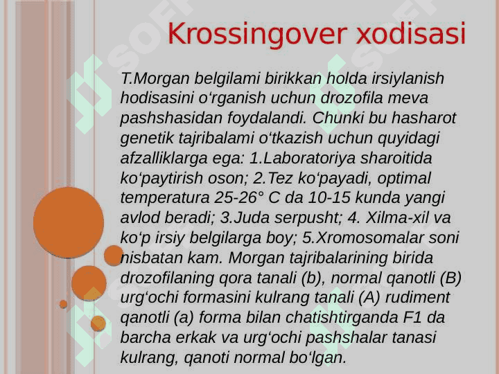 Irsiyatning xromosoma nazariyasi. 8