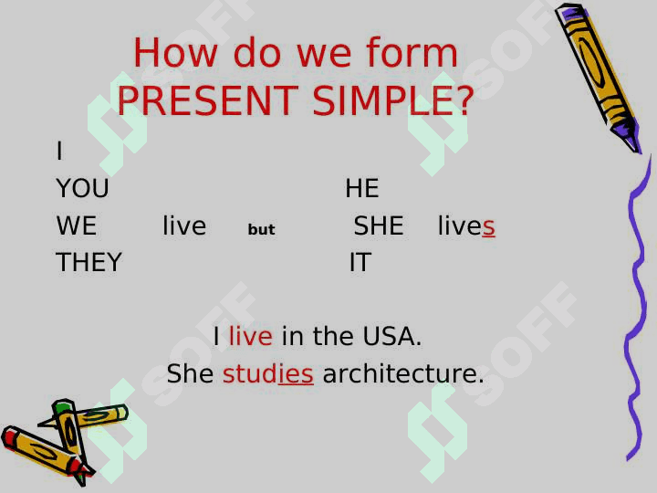 Present Simple or Present Continuous 6