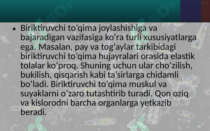 EpiteliyТo‘qimalar, organlar va organlar sistemasi 8