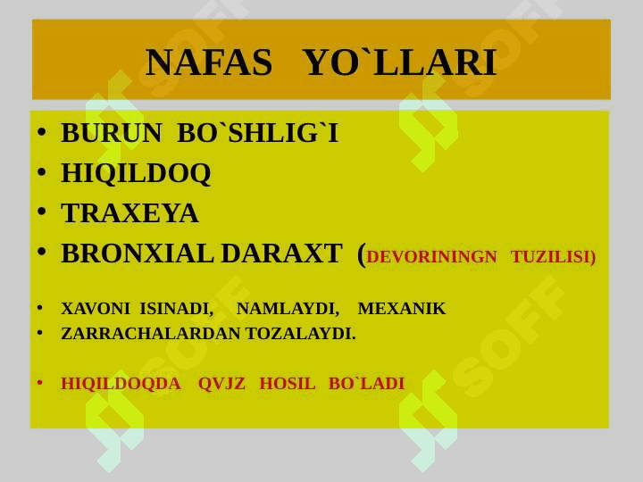 NAFAS OLISH SISTEMASI VA TERI 2