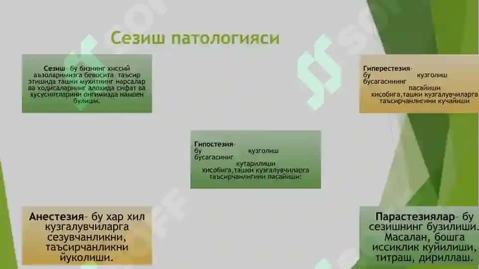 Idrok va Sezgi Patologiyasi 2