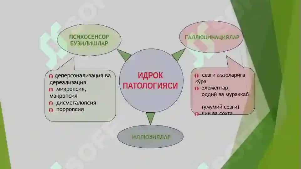 Idrok va Sezgi Patologiyasi 4