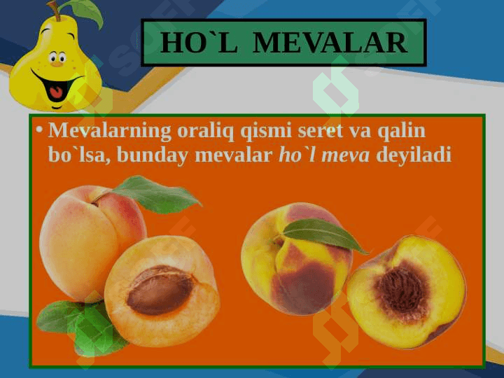 MEVALAR 6