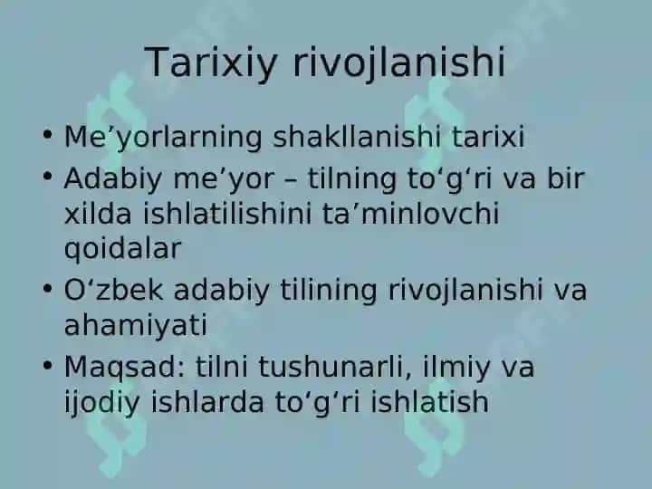 Oʻzbek adabiy me’yorlari va ularning  turlari 2