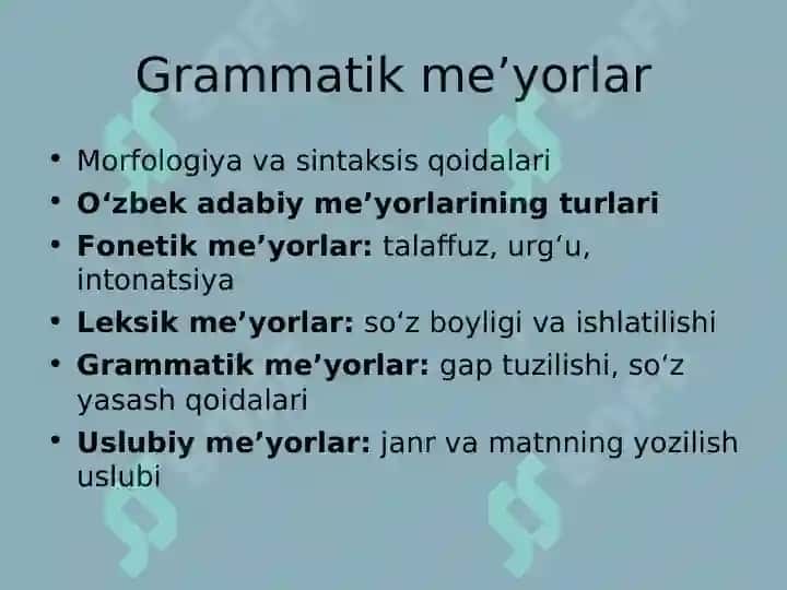 Oʻzbek adabiy me’yorlari va ularning  turlari 3