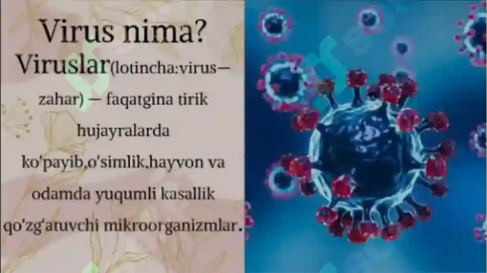 virusologiya 3