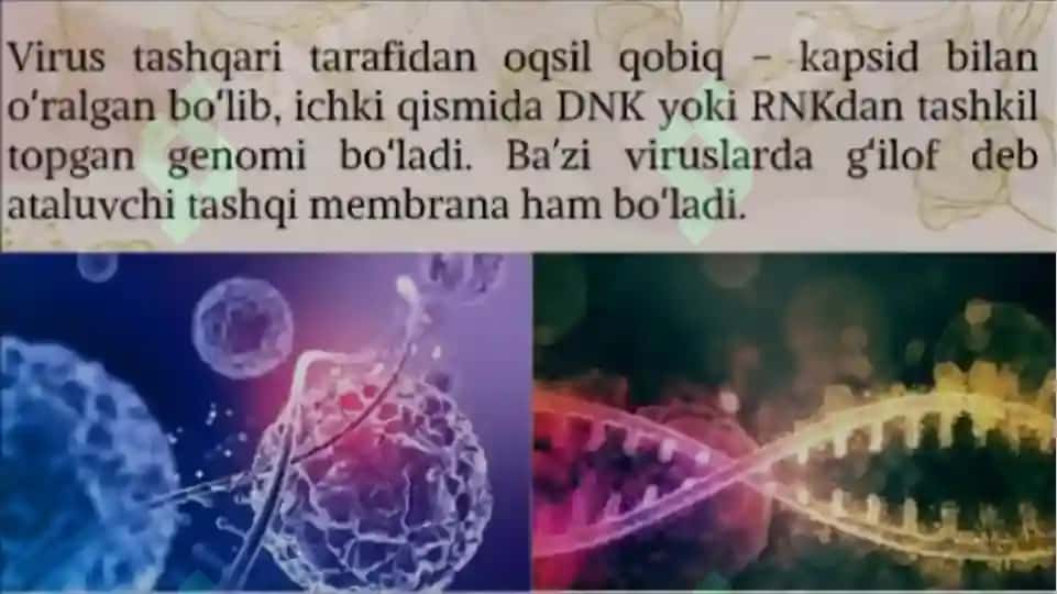 virusologiya 4