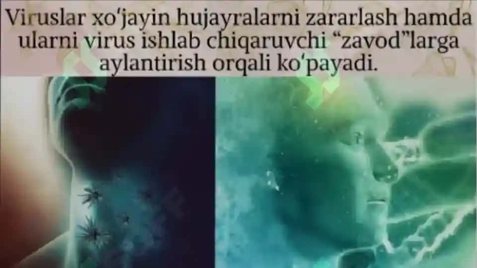 virusologiya 5