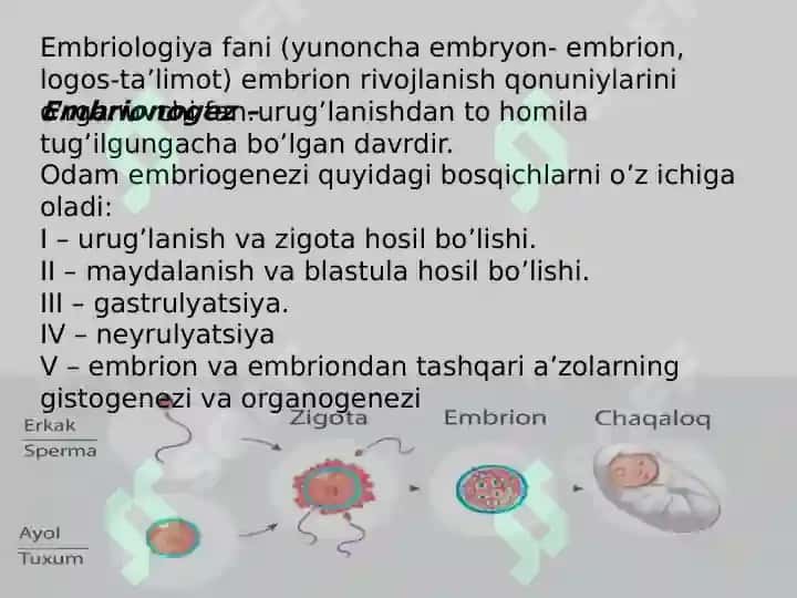 embriologiya jinsiy hujayralar uruglanish maydalanish 2