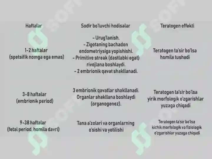 embriologiya jinsiy hujayralar uruglanish maydalanish 3